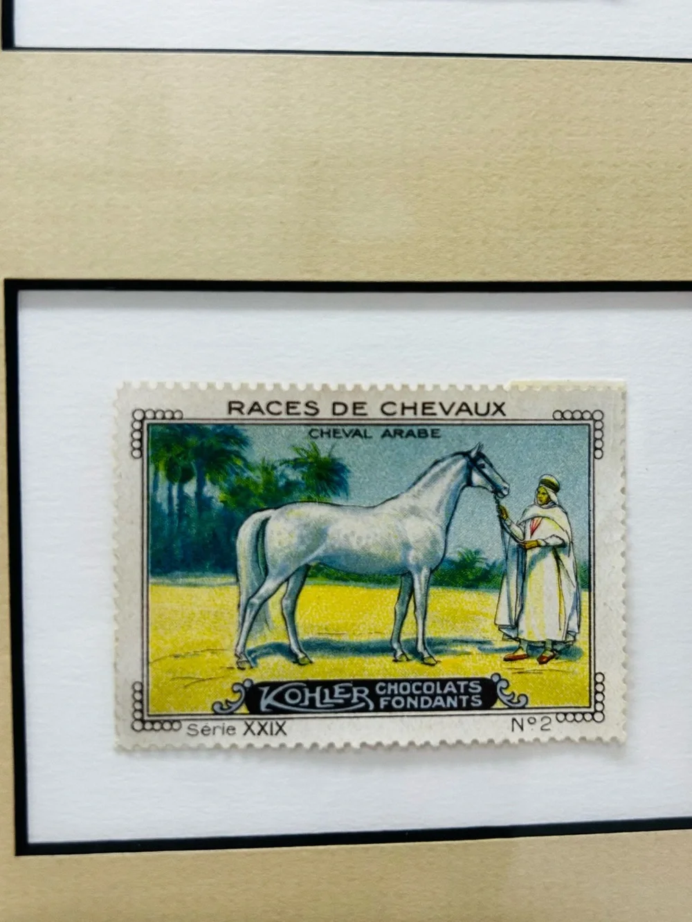 N/A framed horse